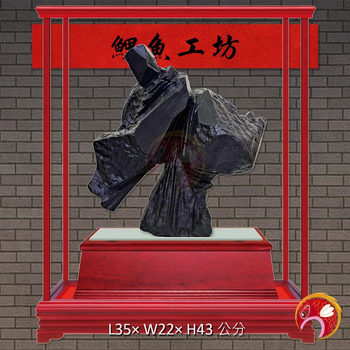 新-太極01-鯉魚