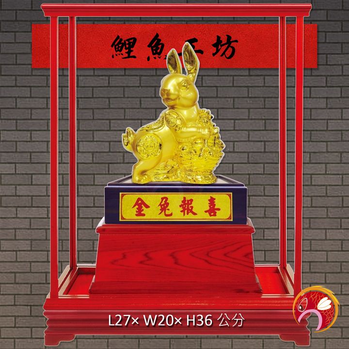 特-金12-鯉魚