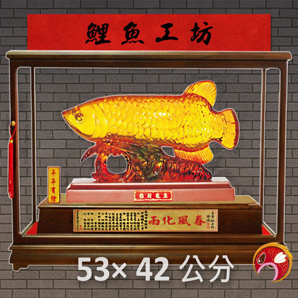 SY-C09-鯉魚工坊