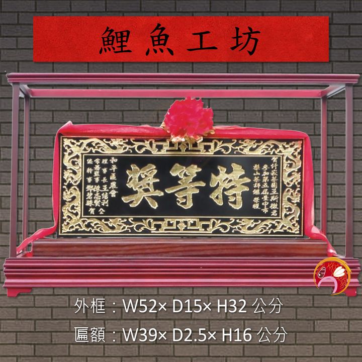 A384-鯉魚