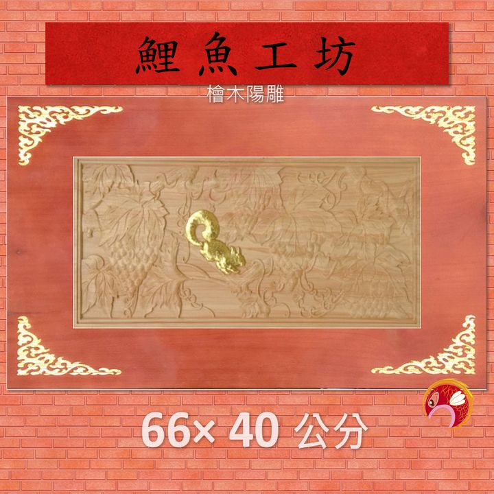 A4612-鯉魚