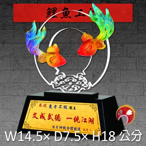 23C71-2-鯉魚