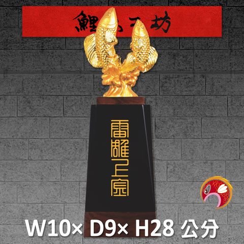 23C25-5-鯉魚