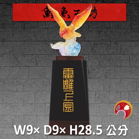 23C27-4-鯉魚