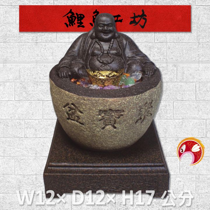20A68-01-鯉魚
