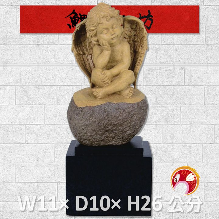20A65-01-鯉魚