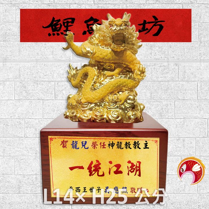 SY-25C15-鯉魚工坊