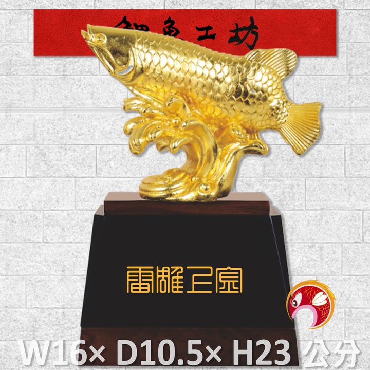 23C23-3-鯉魚