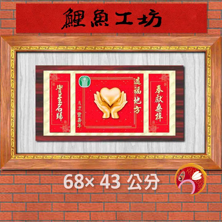 農11-鯉魚