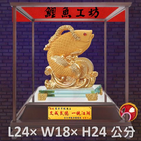 GH-BG623-鯉魚