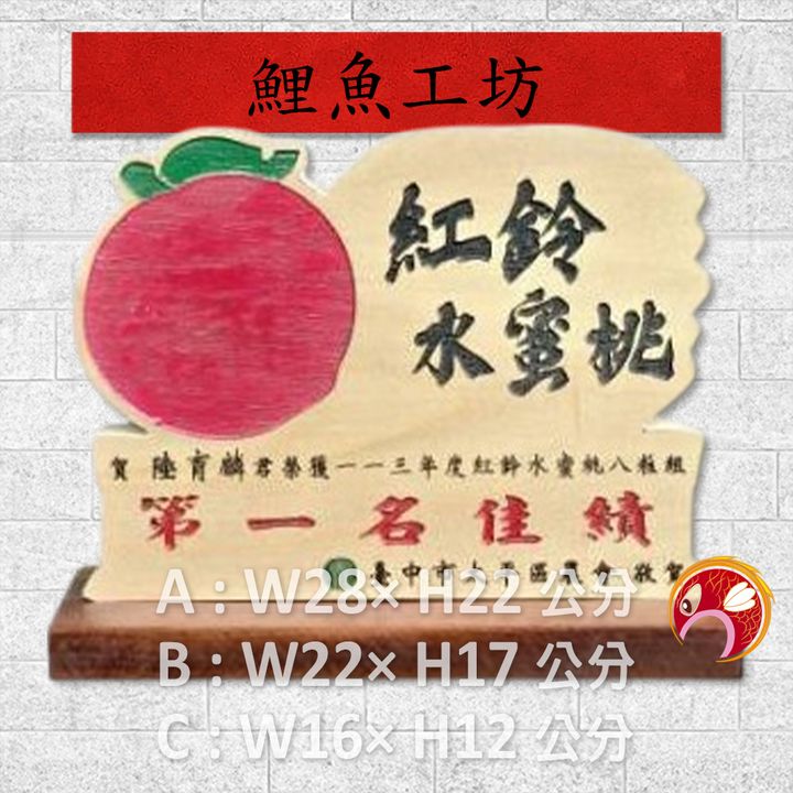 AA3313-鯉魚
