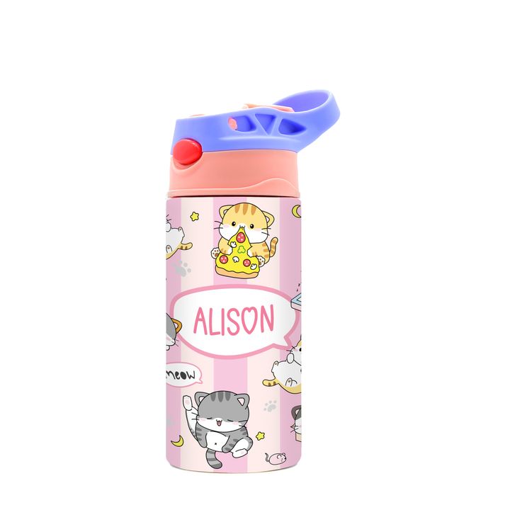 DK -  WaterBottle - Pink Purple - Fun Kitty