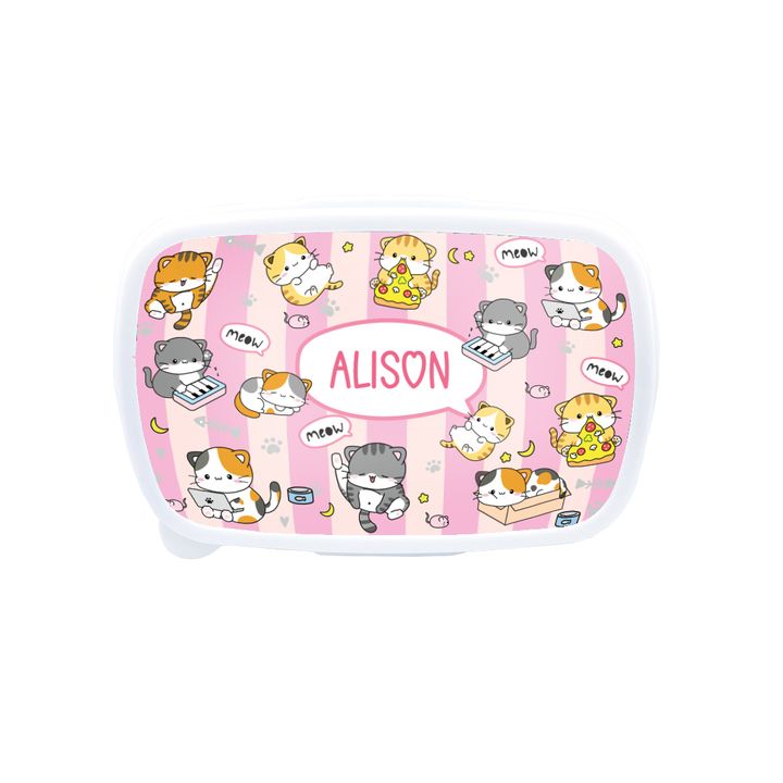 DK - Lunch Box-front - Fun Kitty