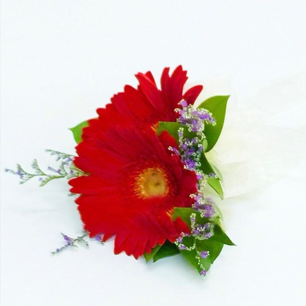 ed7fd2dc-9dd9-4e5d-b06e-e56cafd00d5a