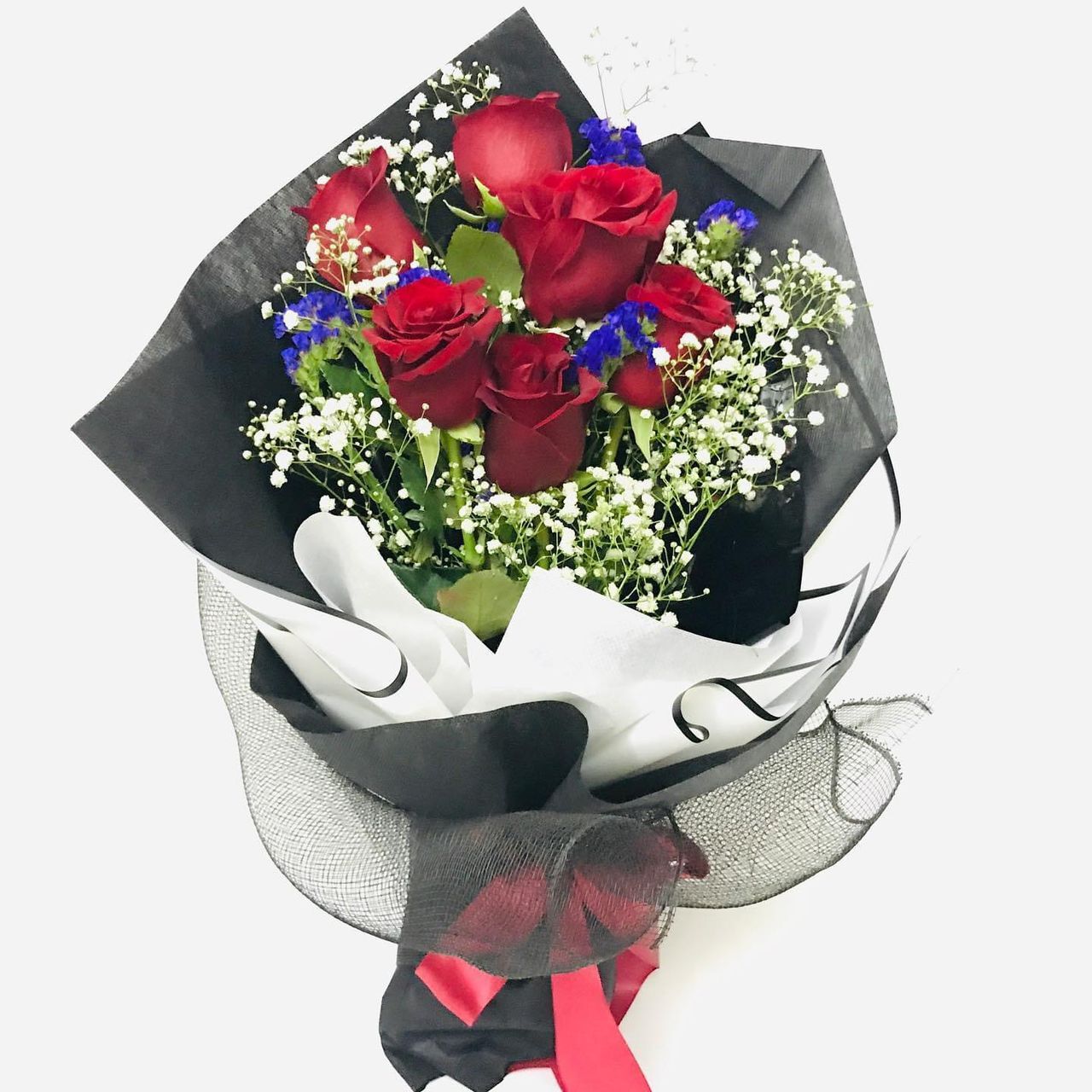 WhatsApp Image 2024-01-26 at 3.24.31 PM