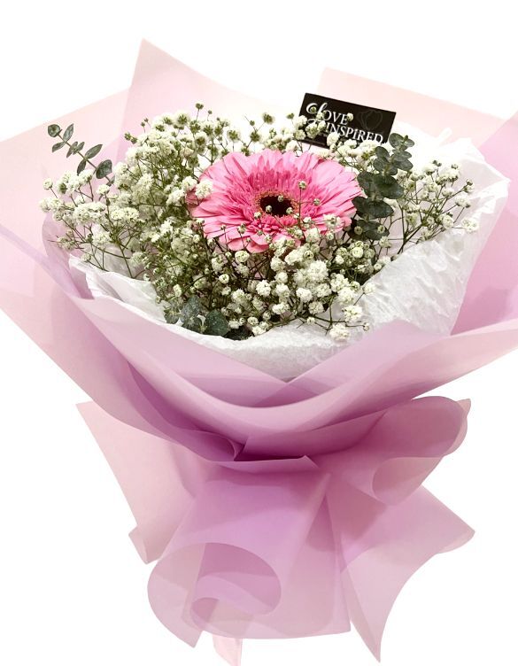 WhatsApp Image 2024-01-26 at 4.16.21 PM