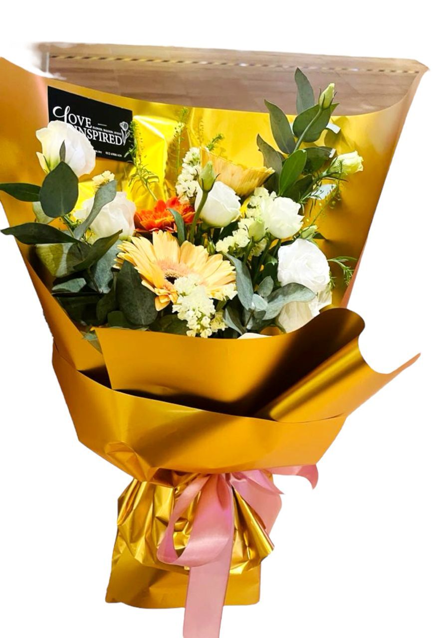 WhatsApp Image 2024-02-01 at 10.24.37 PM