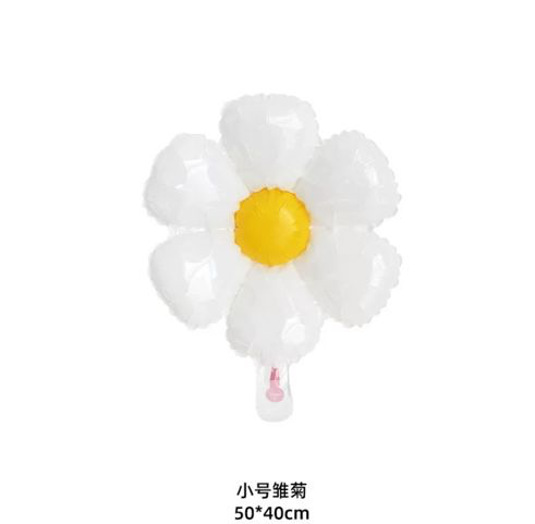 IMG_2869-1720187129683