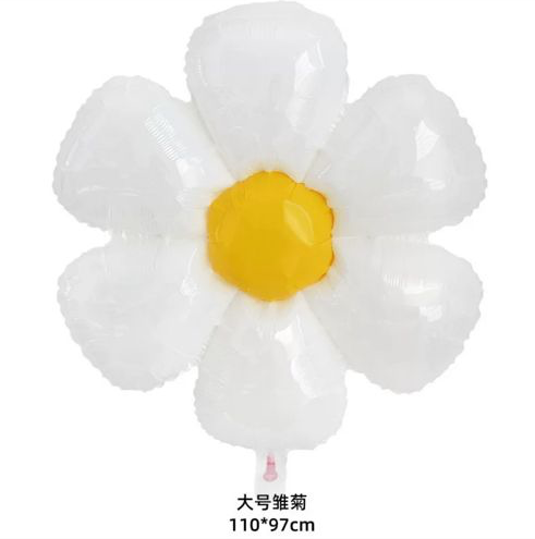 IMG_2870-1720187129691