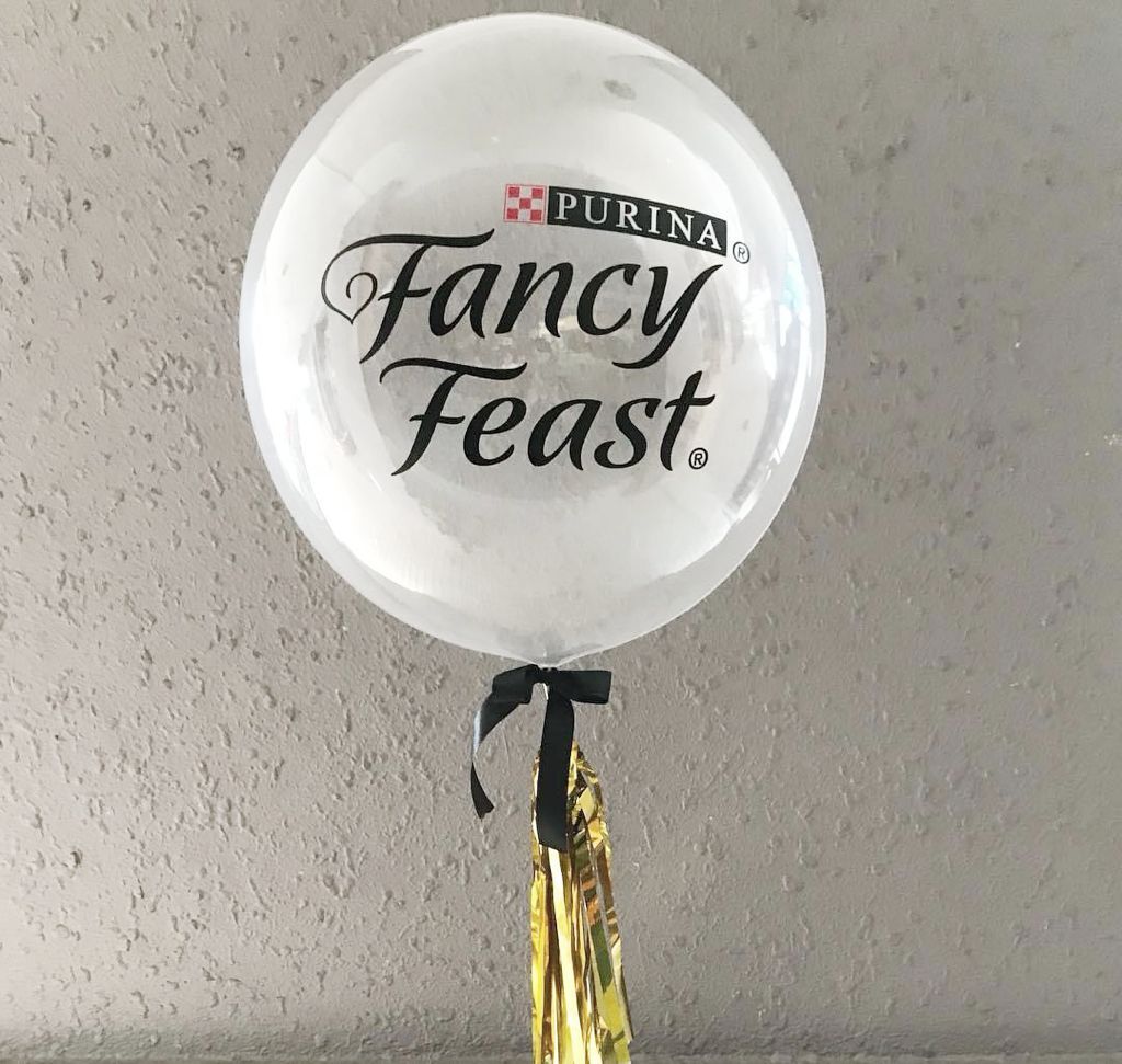 WhatsApp Image 2024-07-08 at 4.35.58 PM