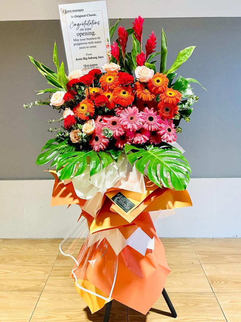 WhatsApp Image 2024-11-27 at 2.13.27 PM