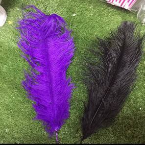 24862615-10155057922577409-1462215135707548296-n_1