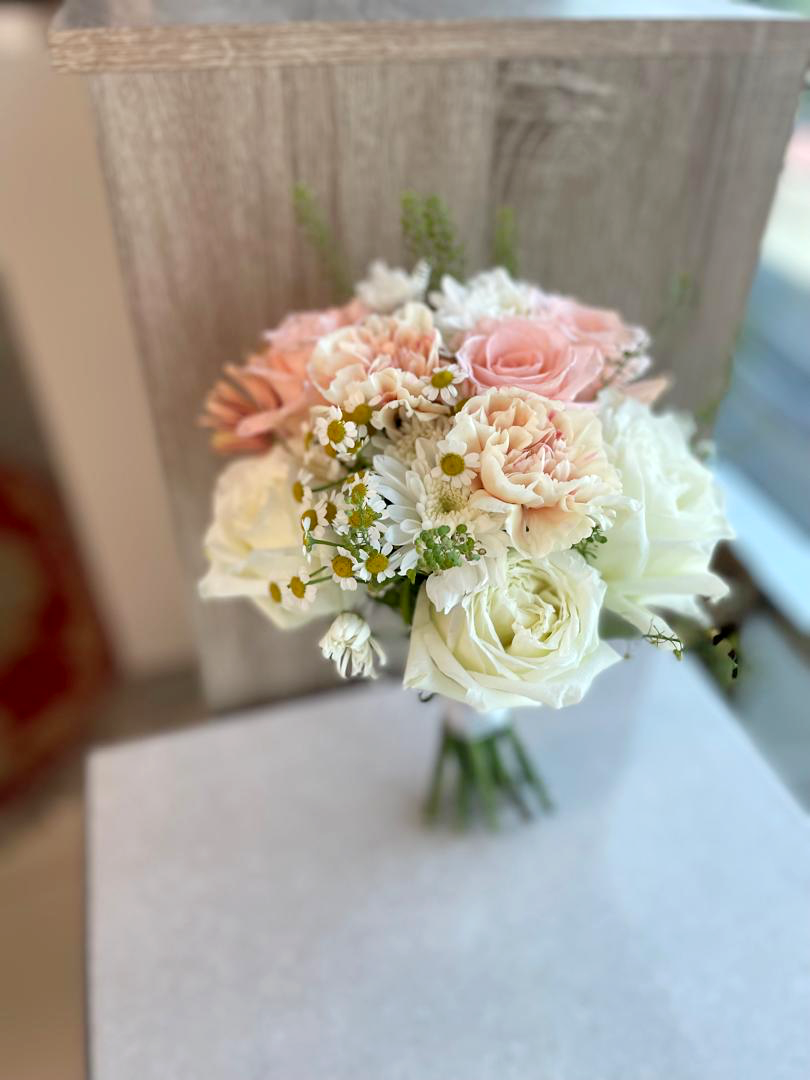 IMG_7020-1733885177776