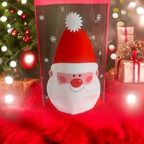 WhatsApp Image 2024-12-15 at 6.55.46 PM