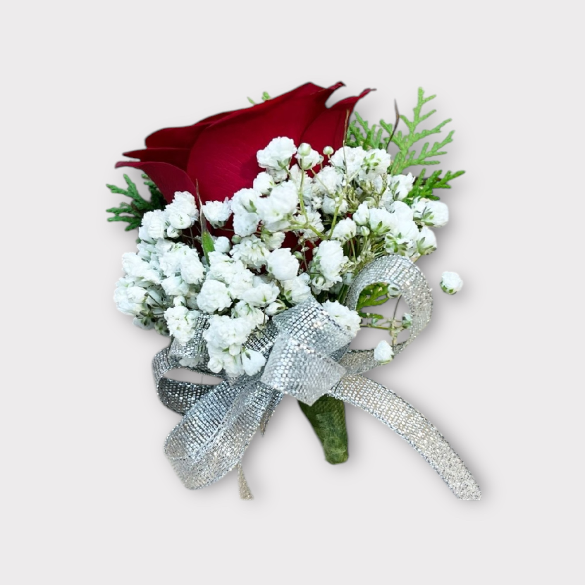 Photoroom_20241221_171605-1734772610717