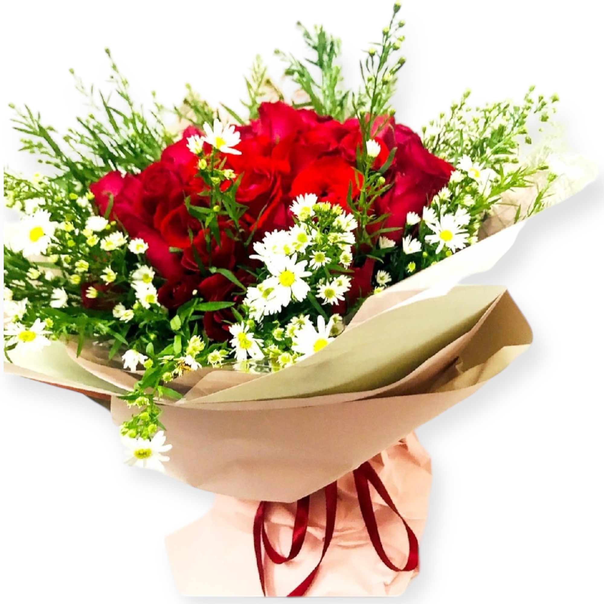 Photoroom_20250105_134111-1736055686802