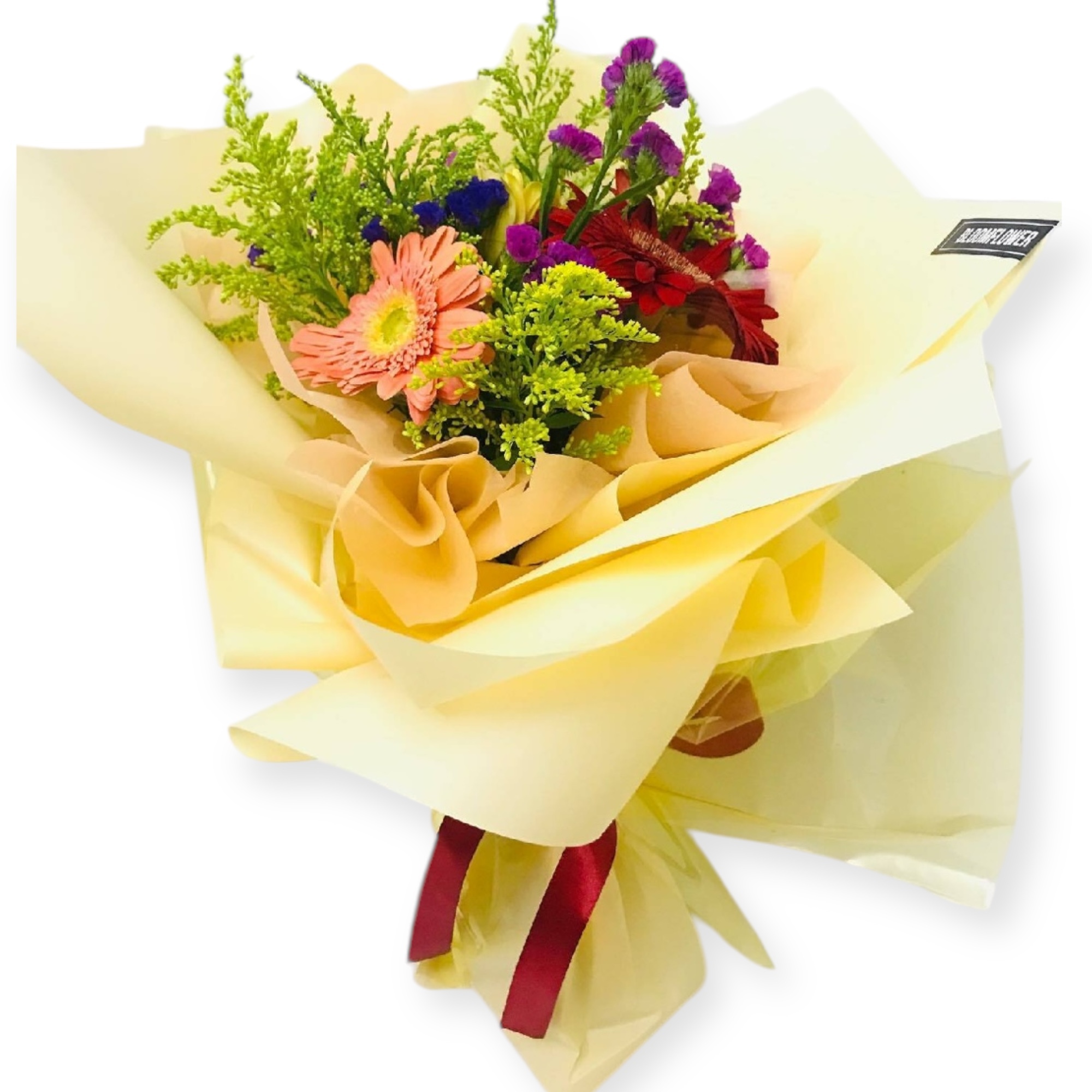 Photoroom_20250105_134350-1736055843024