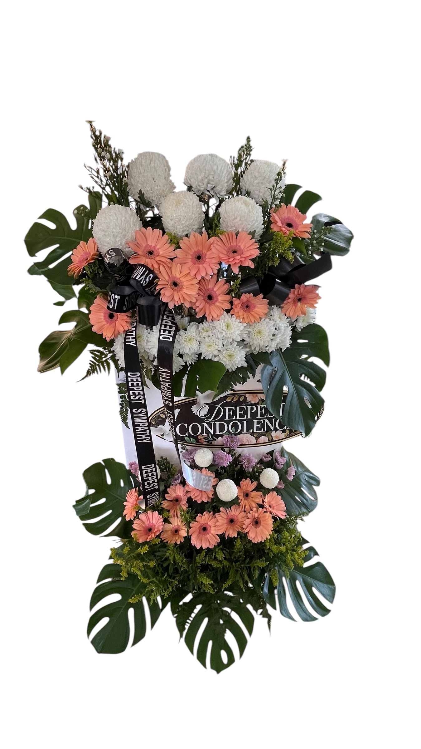 Photoroom_20250124_173540-1740481475108