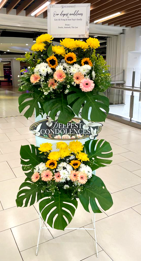 IMG_9594-1740481565152