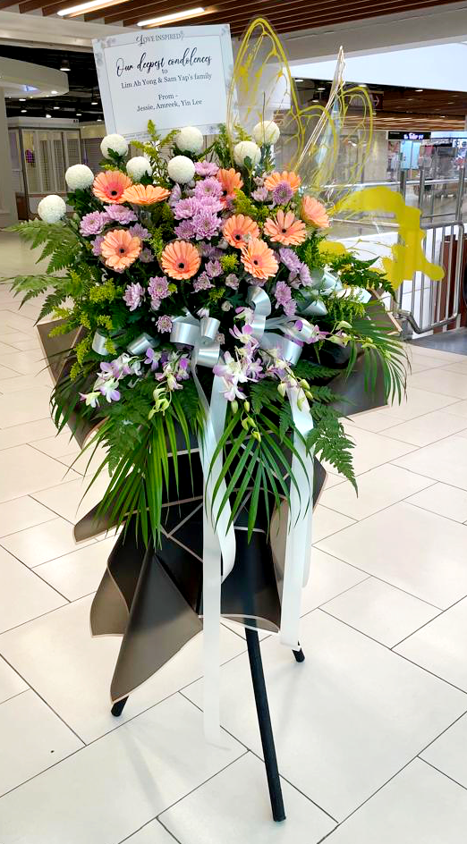 IMG_9593-1740481643575