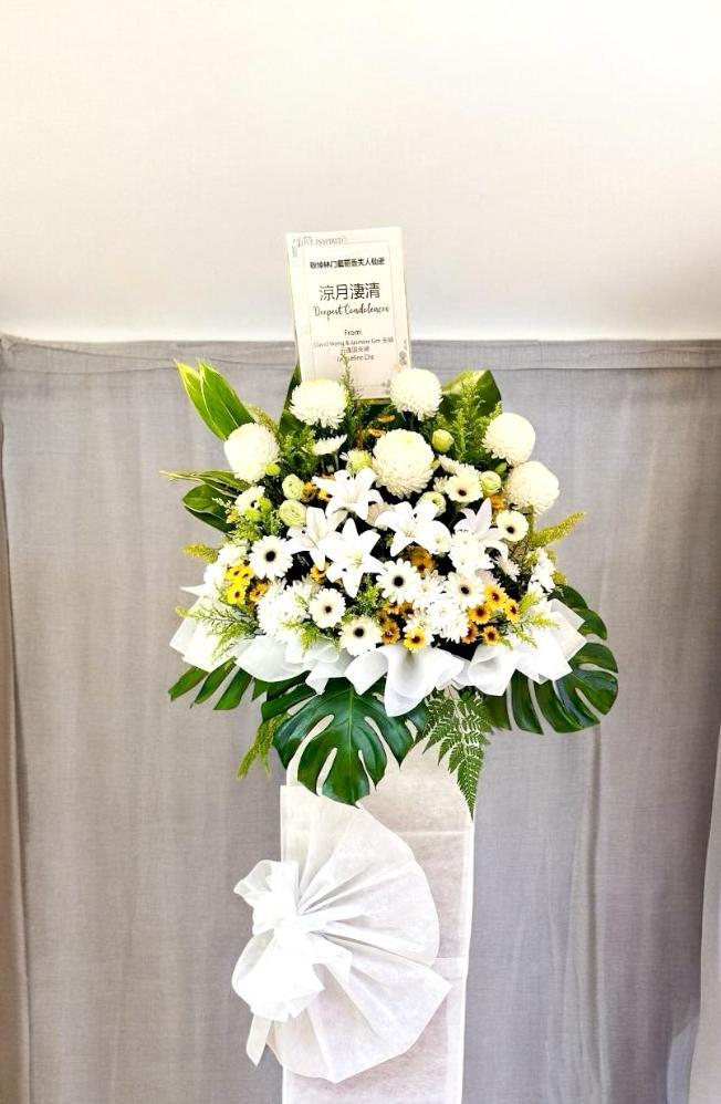 WhatsApp Image 2025-04-09 at 4.44.11 PM