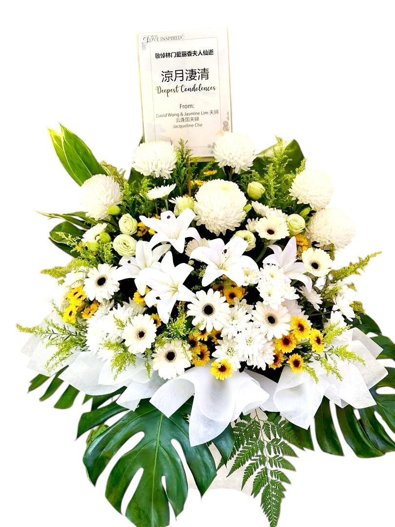 WhatsApp Image 2025-04-09 at 4.44.16 PM