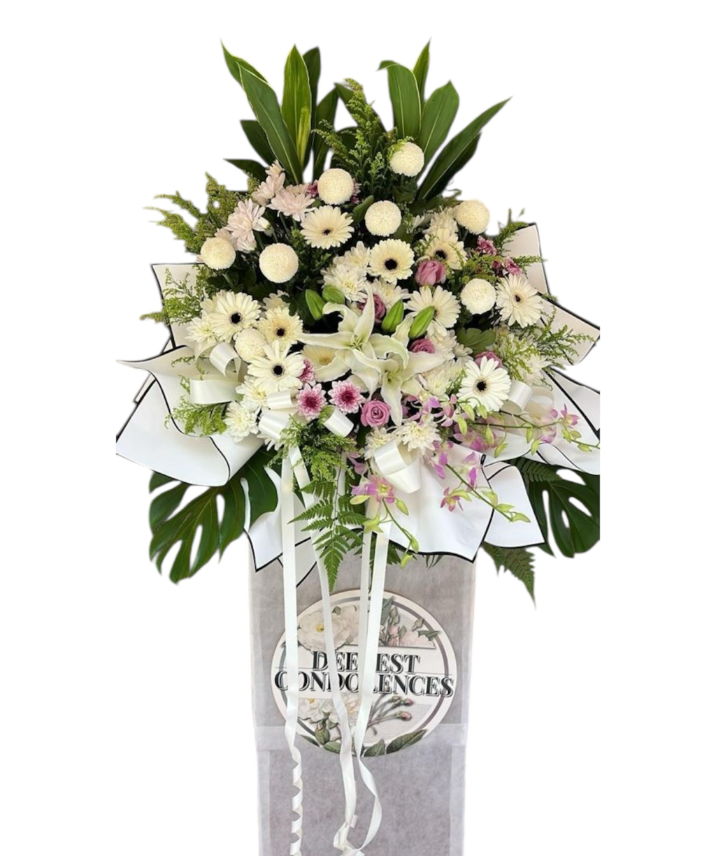 image_AC4D1FCF-65C5-4059-84C0-C3AC4C613BD1_1749716124