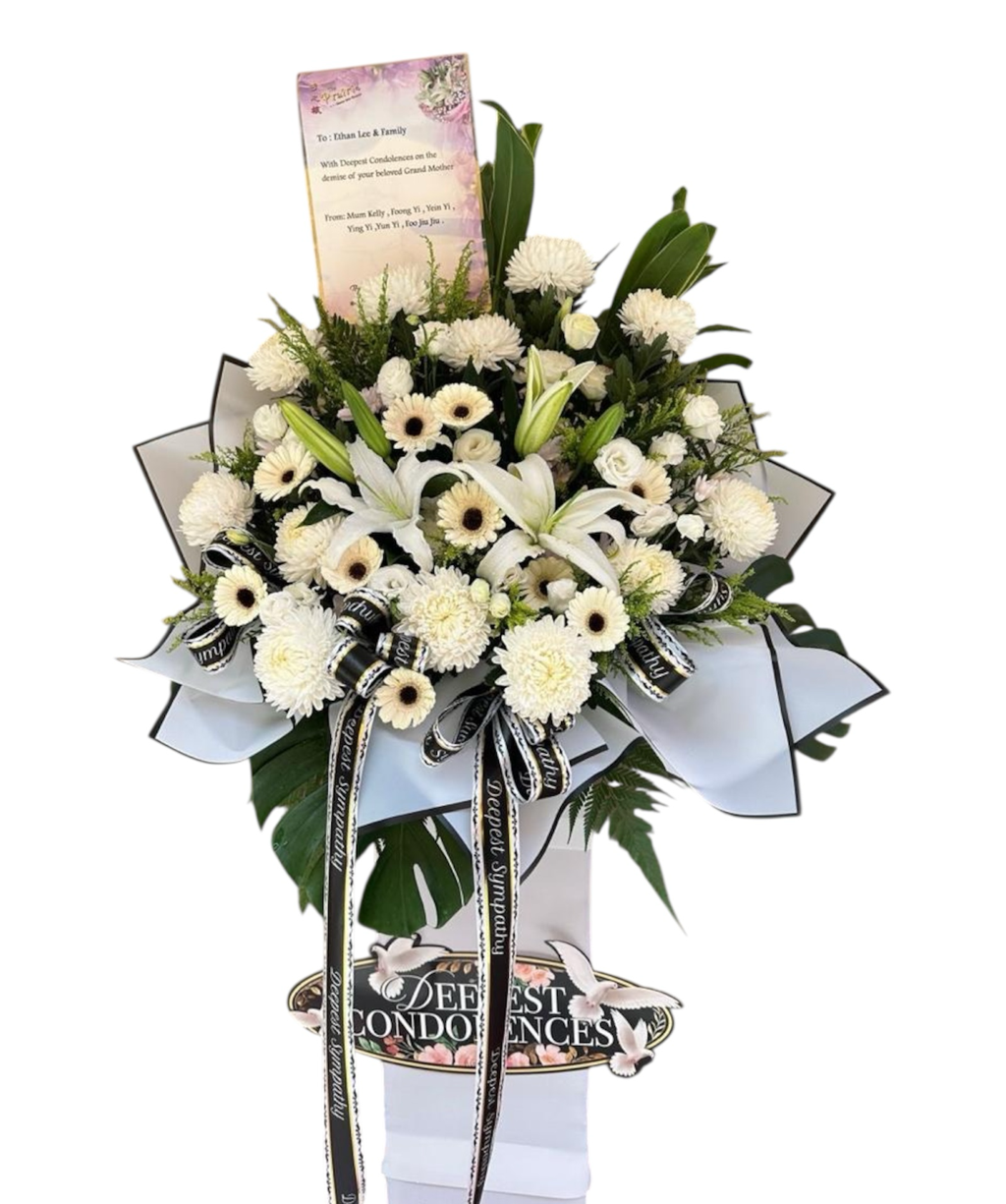 image_05283F2D-FA0A-4DCE-96A9-75380EEAE522_1749716273