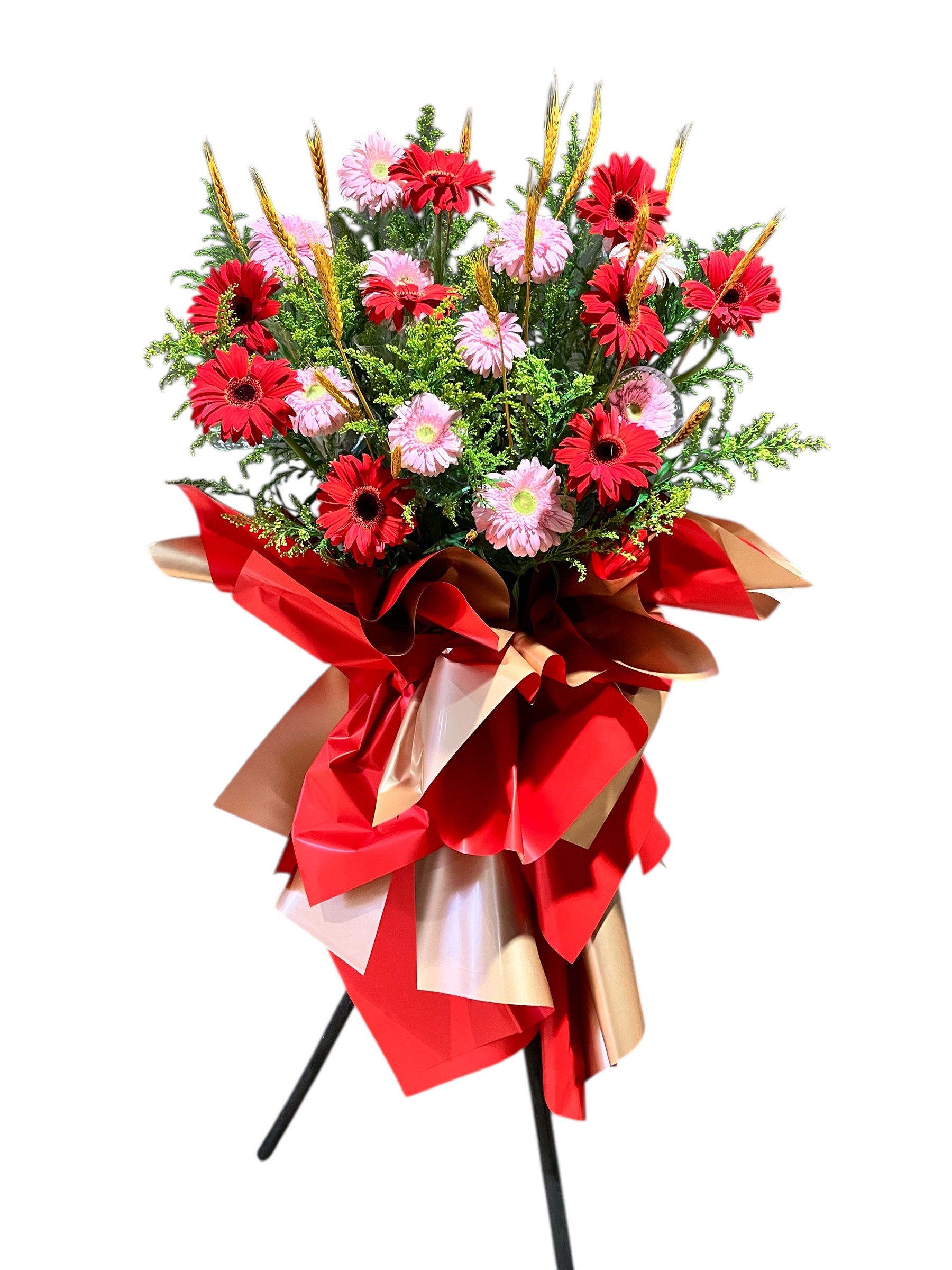 image_4FA37C90-1577-4D88-9756-BBF6BCA1EB4B_1749968992