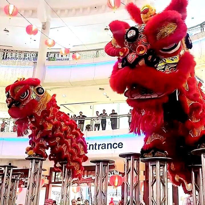 WhatsApp Image 2025-03-08 at 3.54.15 PM