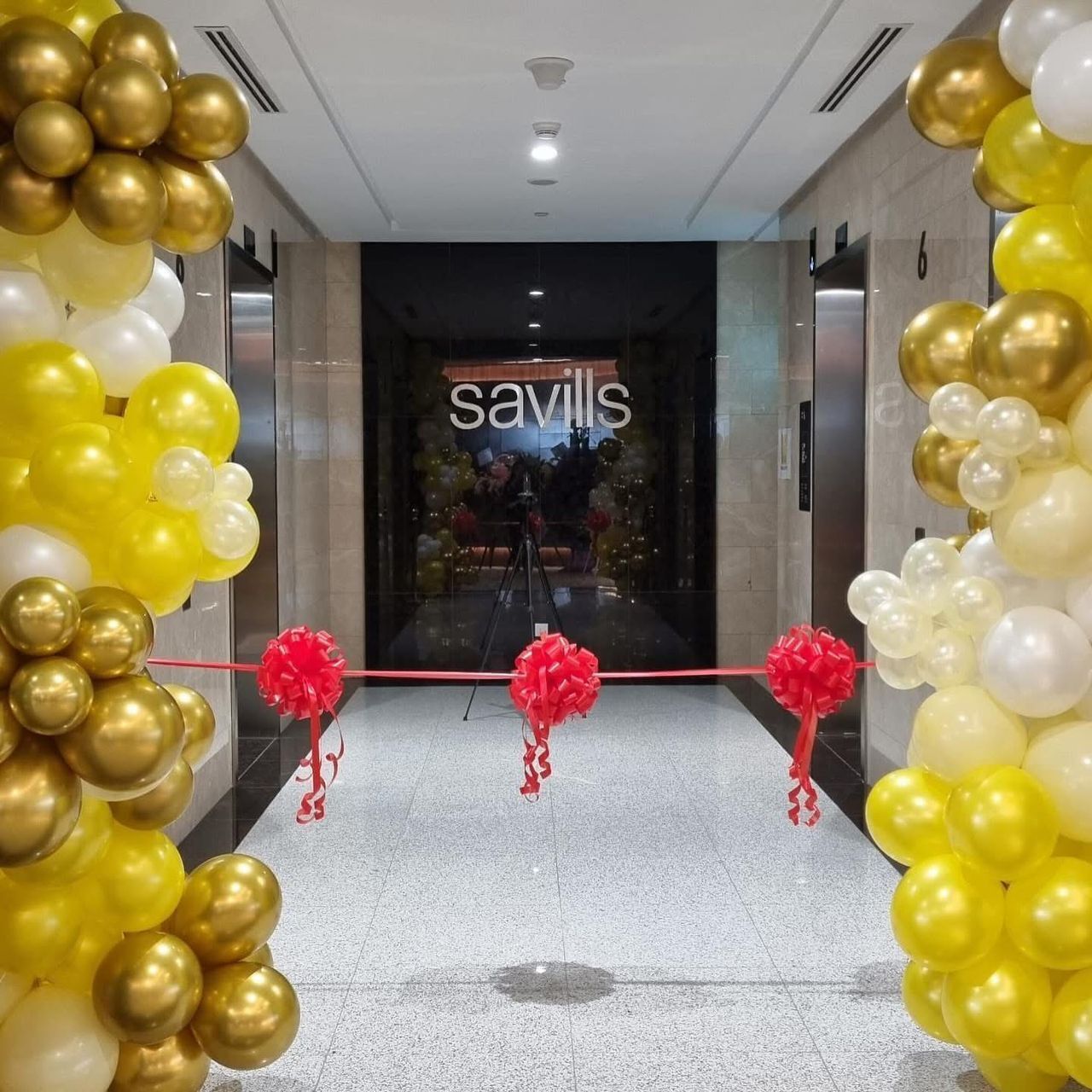 WhatsApp Image 2024-11-27 at 2.09.30 PM