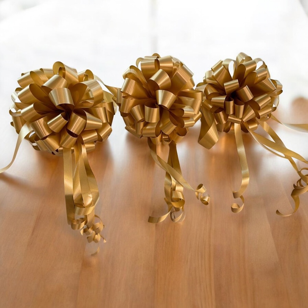 image_A33EDC4A-65BA-4BAB-B037-E0BB9FE0BE35_1765633136