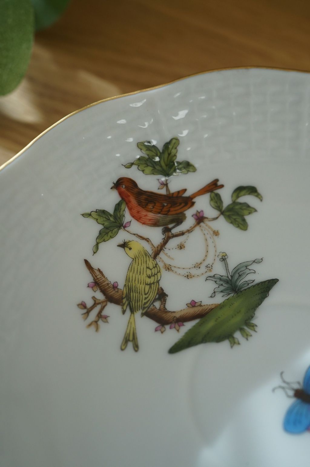 648309490_2364379450730421_7326571203612882639_n