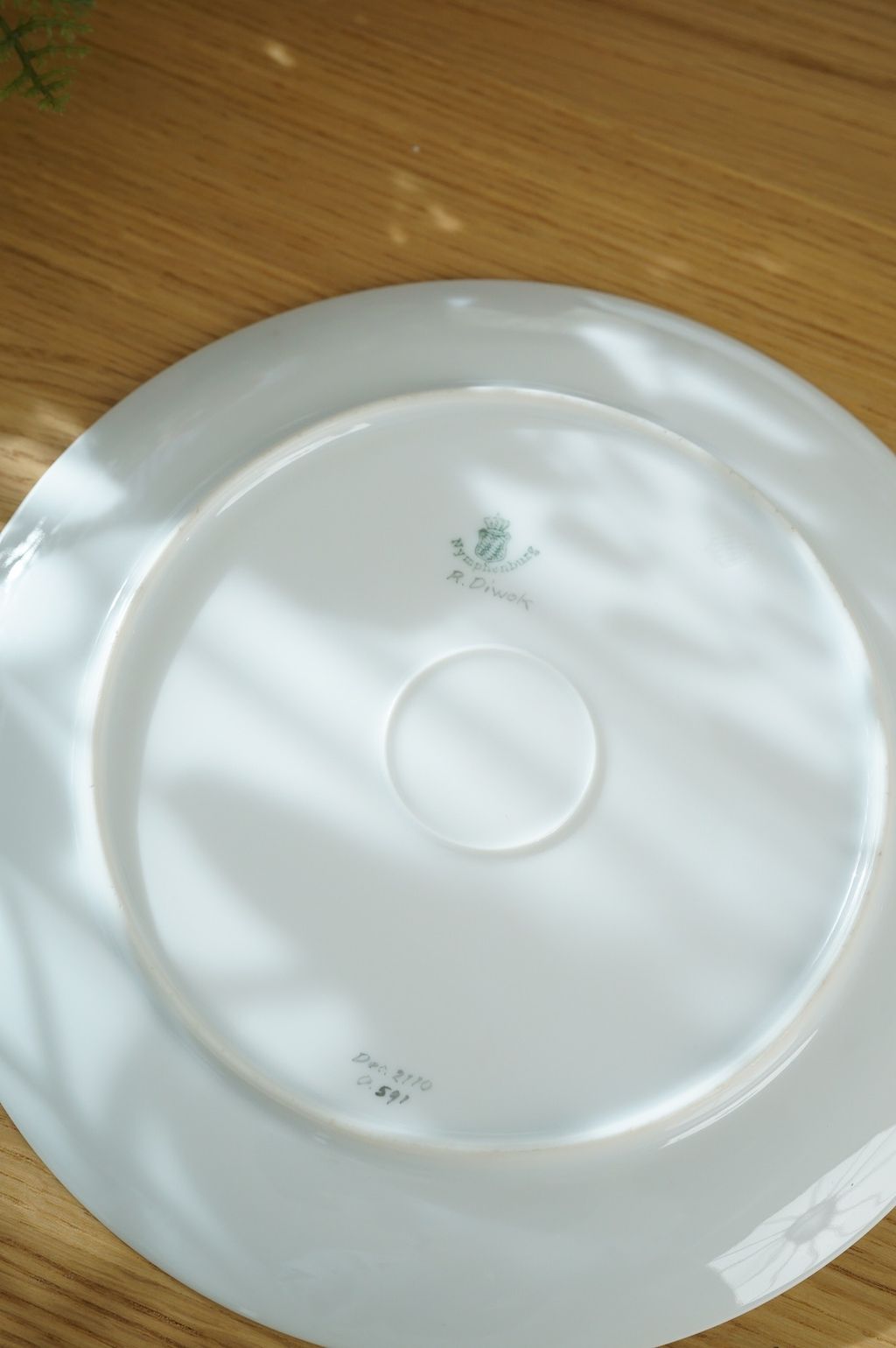 646681916_2364385884063111_7285359698524655753_n