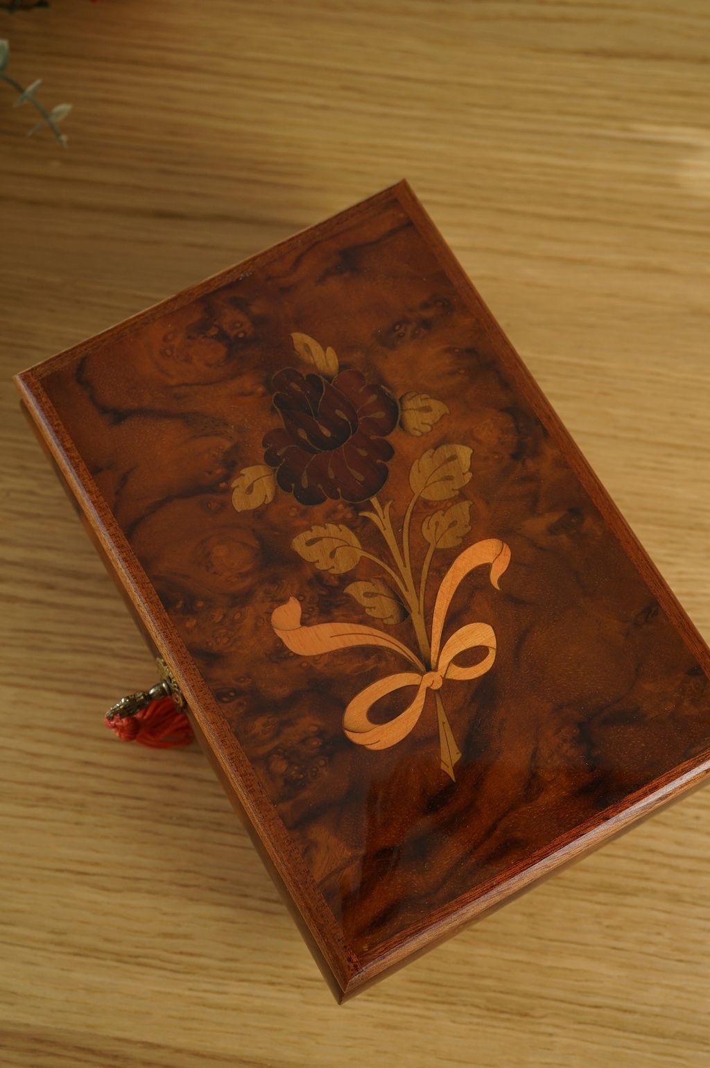 646341813_2362858170882549_4596401656542239133_n