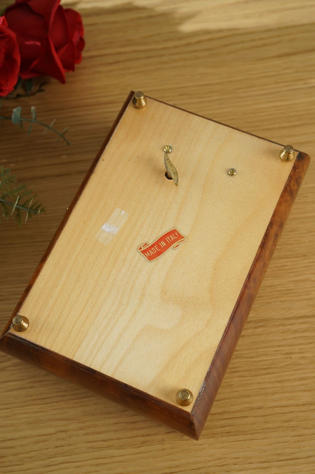 646313981_2362858310882535_1455607775927630255_n