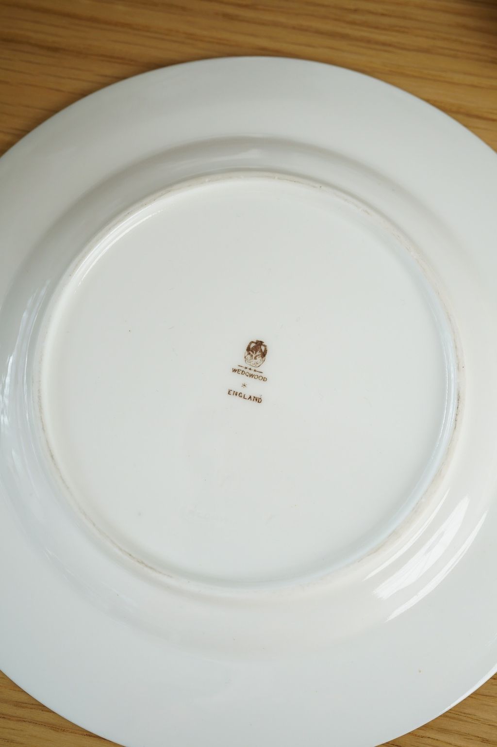 647565688_2362856720882694_3502558706123144696_n