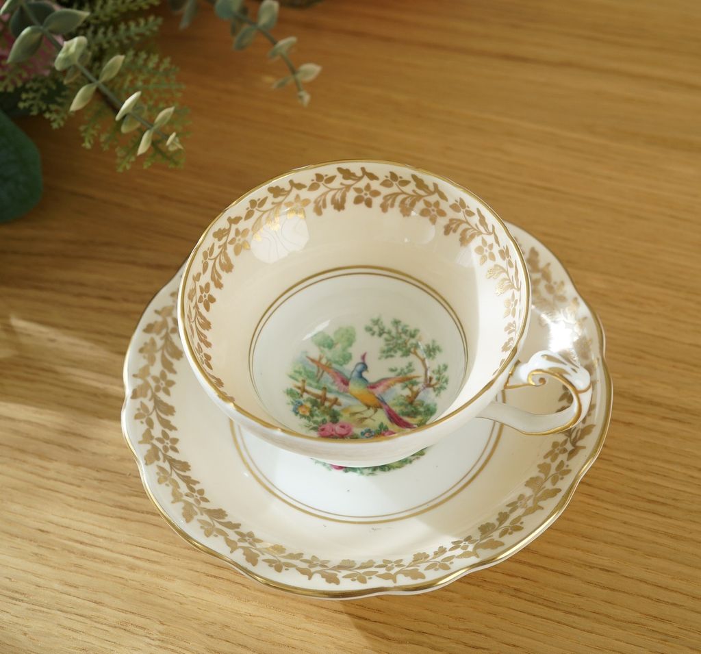 643324232_2358001828034850_5125984983417644662_n