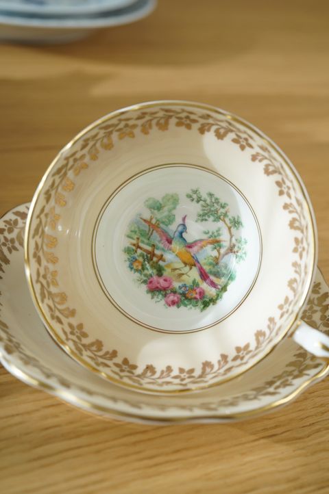 642212225_2356754298159603_8228468365706931819_n