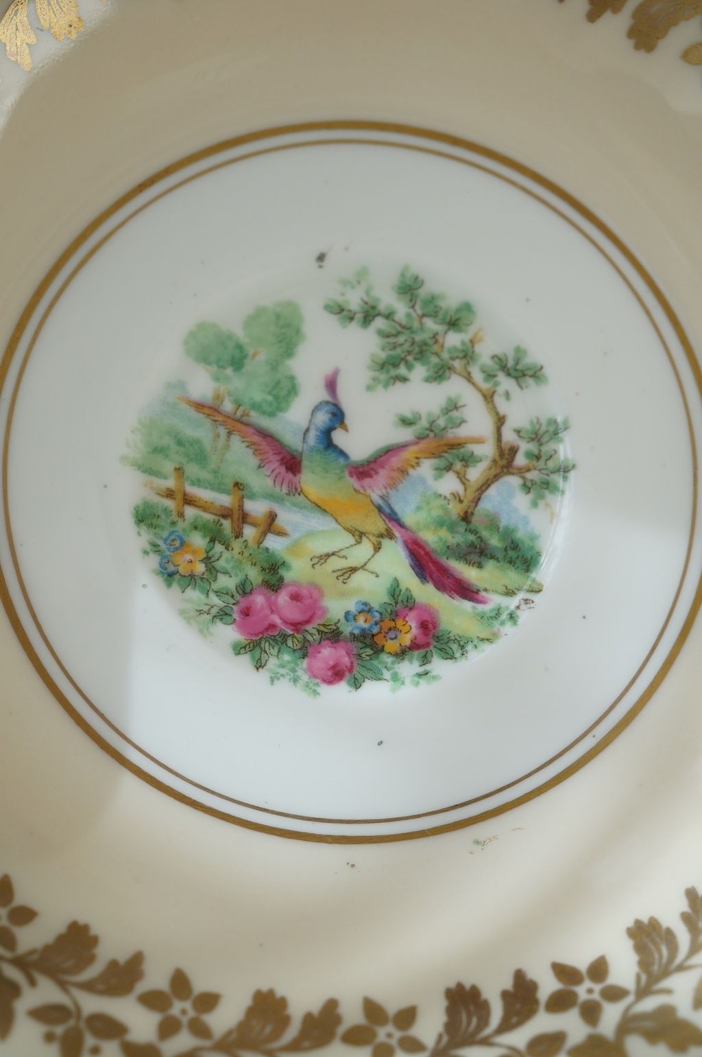 641177011_2356754421492924_279670889542565504_n